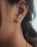 Aries Earrings - Crystal Drop